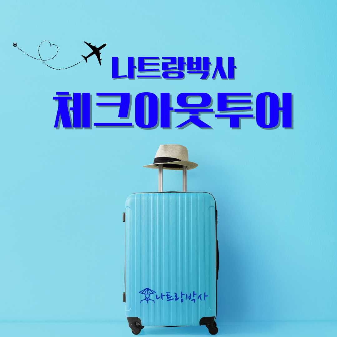 베트남 나트랑 체크아웃투어(포나가르 대성당 롱선사 롯데마트 스카이라이트 맛집 카페 마사지) (Nha Trang check out tour)