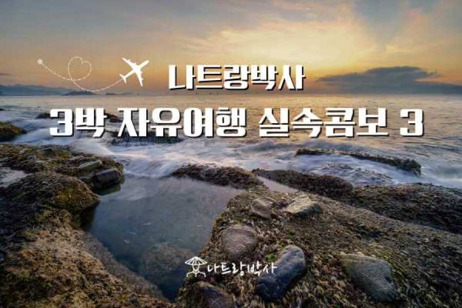 나트랑박사 3박실속콤보3