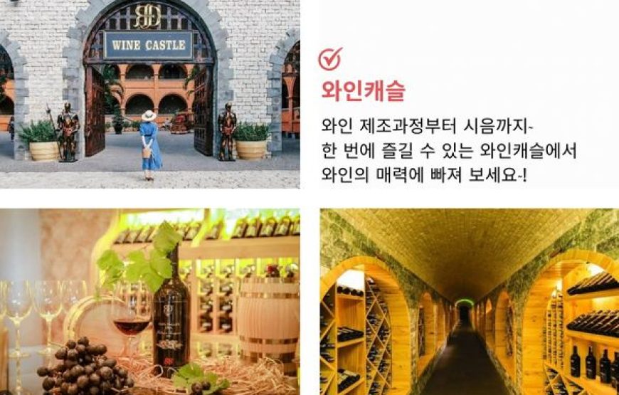 나트랑박사 무이네 1박2일 투어