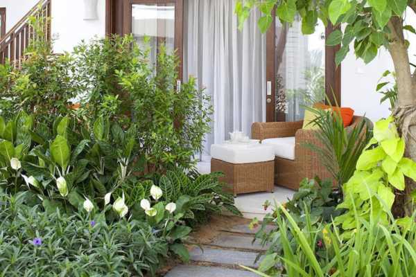 가든 디럭스 킹 (Garden Deluxe King)