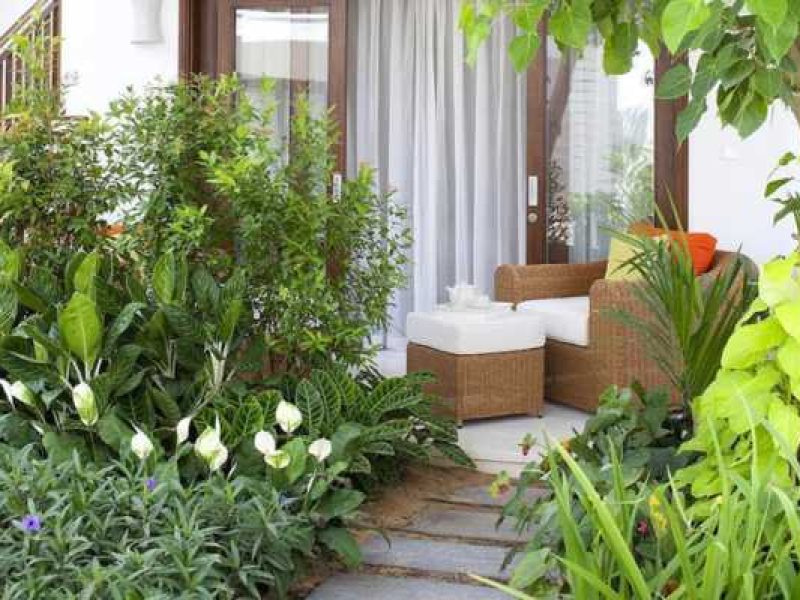 가든 디럭스 트윈 (Garden Deluxe Twin)