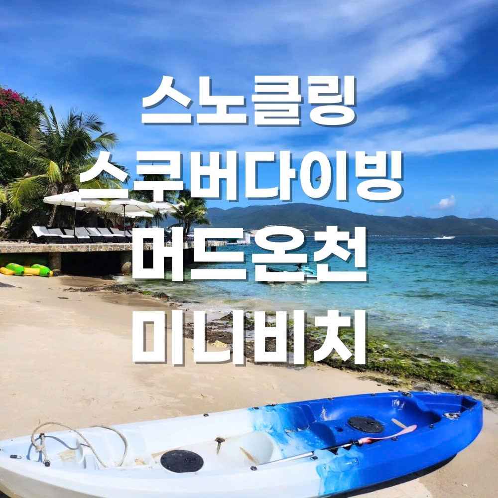 올인원 호핑투어