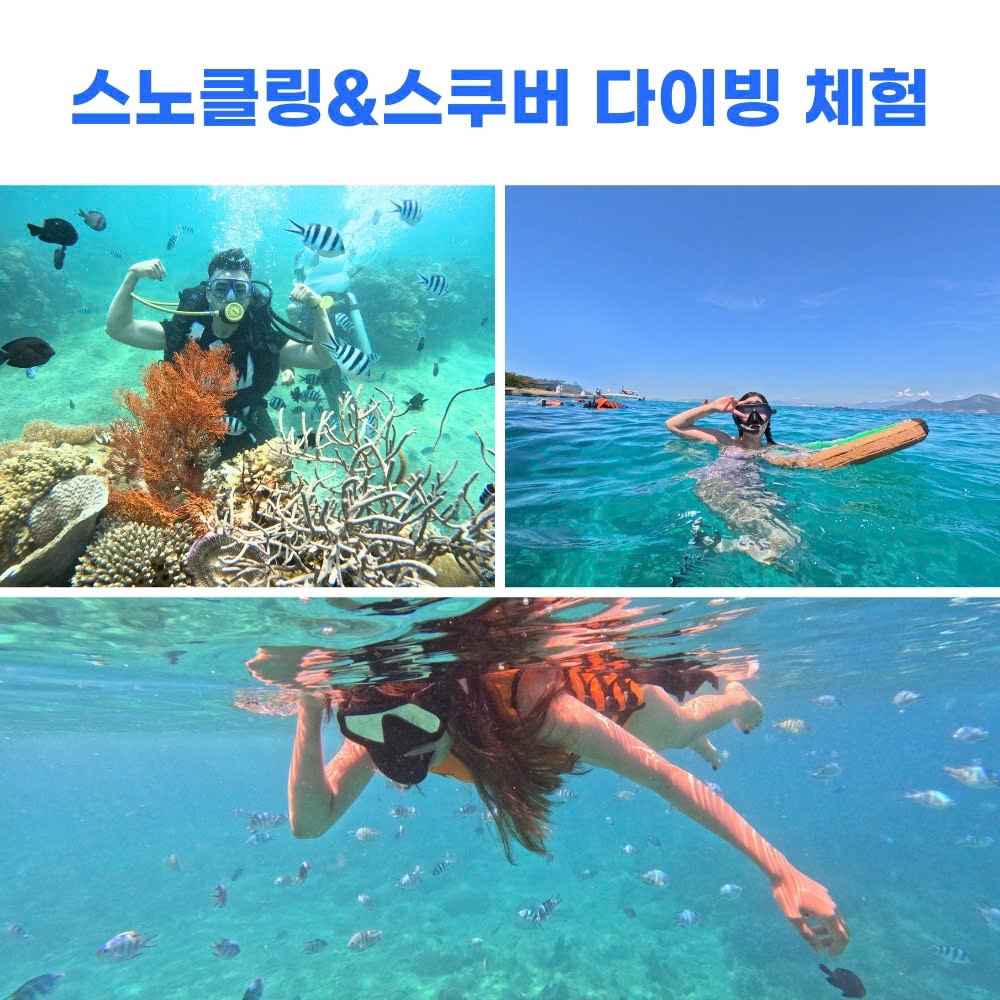 올인원 호핑투어