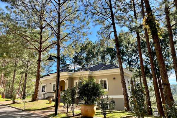 카멜리아 주니어 스위트 가든뷰 (Camellia Junior Suite Garden View)