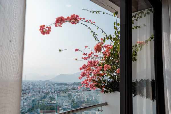 디럭스 시티뷰 쿼드 Deluxe City View Quad